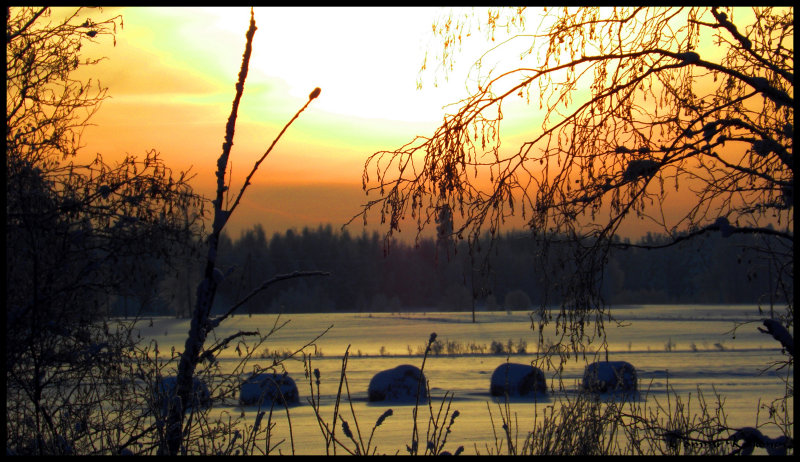 Frozen fields