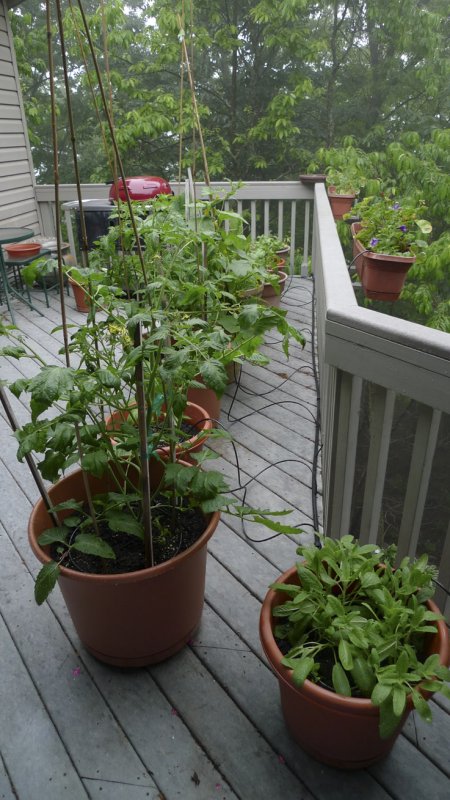 Drip Irrigation System