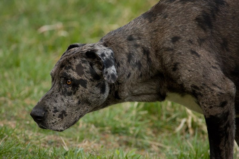 _MG_3397 Profile