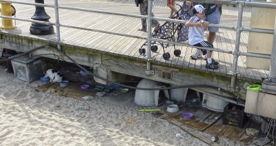 P1000462 Under the boardwalk.