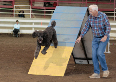 _MG_0502 Flying Poodle