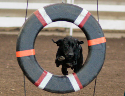 _MG_0546 Bullseye 2