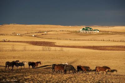 On the Prairies