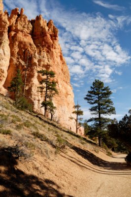 Bryce Canyon Trail