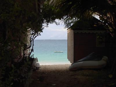 Beach Scene