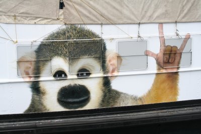 Telus Monkey Ferry Ad