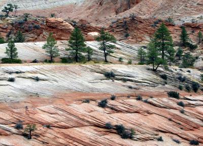 COLORADO & UTAH (2005)