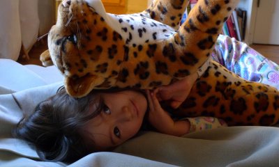 g3/92/361892/3/112426142.m4lmk3br.jpg
