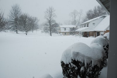 DSC_8870.JPG