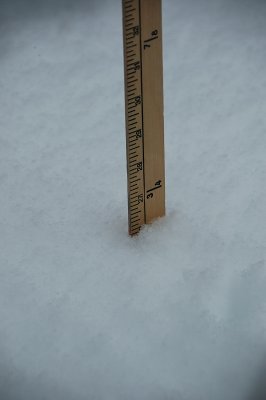 DSC_8873.JPG