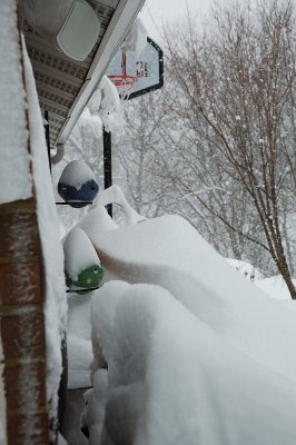 DSC_8878.JPG