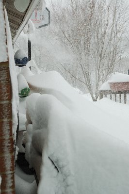 DSC_8881.JPG