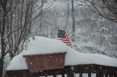 DSC_8883.JPG