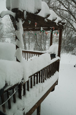 DSC_8884.JPG