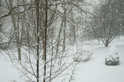 DSC_8885.JPG