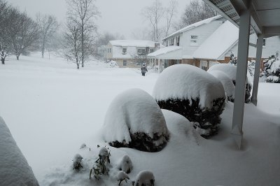 DSC_8887.JPG