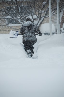DSC_8888.JPG