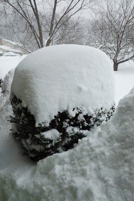 DSC_8890.JPG