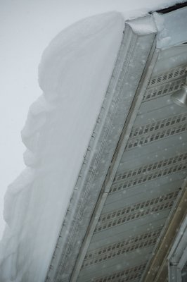 DSC_8896.JPG