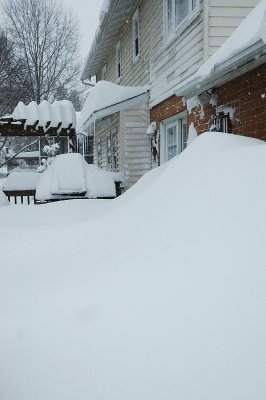 DSC_8903.JPG