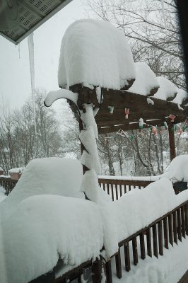 DSC_8904.JPG