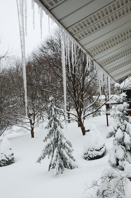 DSC_8905.JPG
