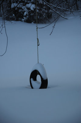 DSC_8912.JPG