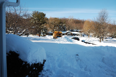 DSC_8917.JPG