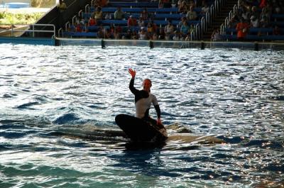 Riding Shamu