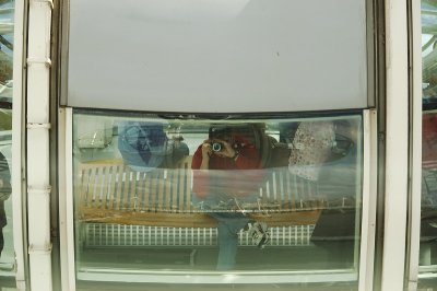 DSC_3174.jpg