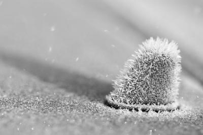 Ice crystals on my car's window washer nozzle