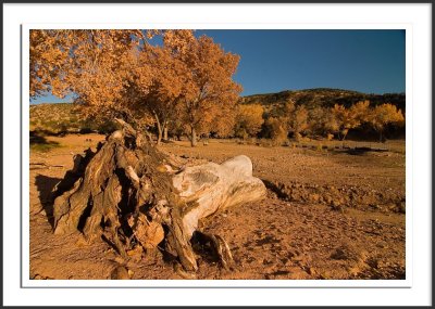 A very dry Santa Cruz Lake