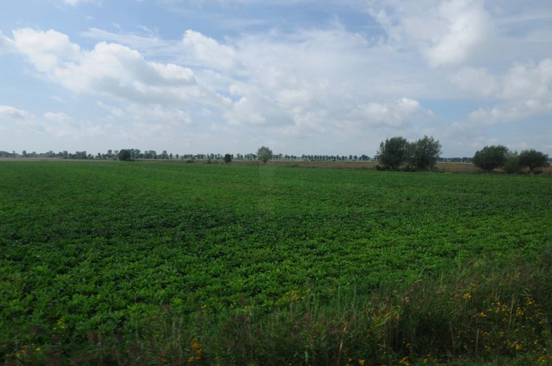 237_20080821_10-48-28.jpg