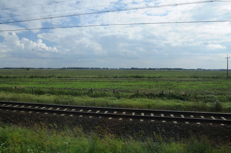 329_20080821_16-07-01.jpg