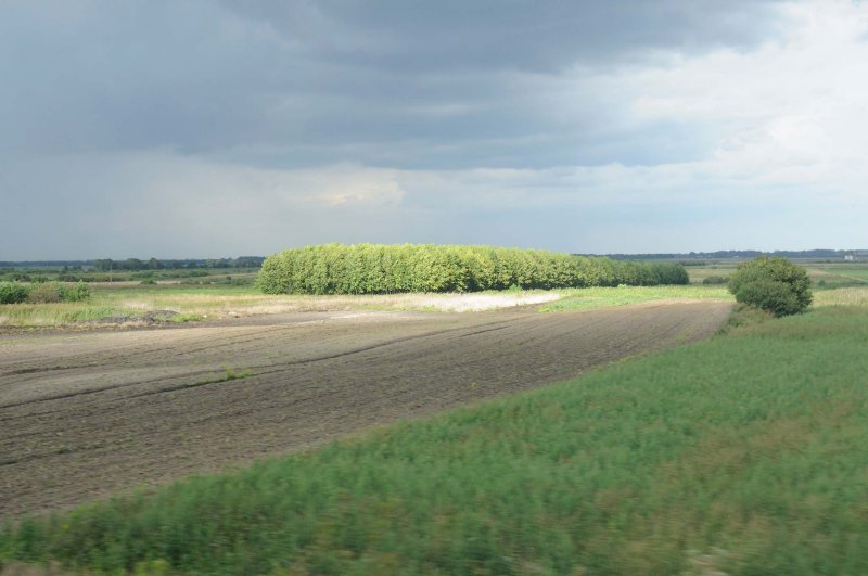 345_20080821_16-26-35.jpg