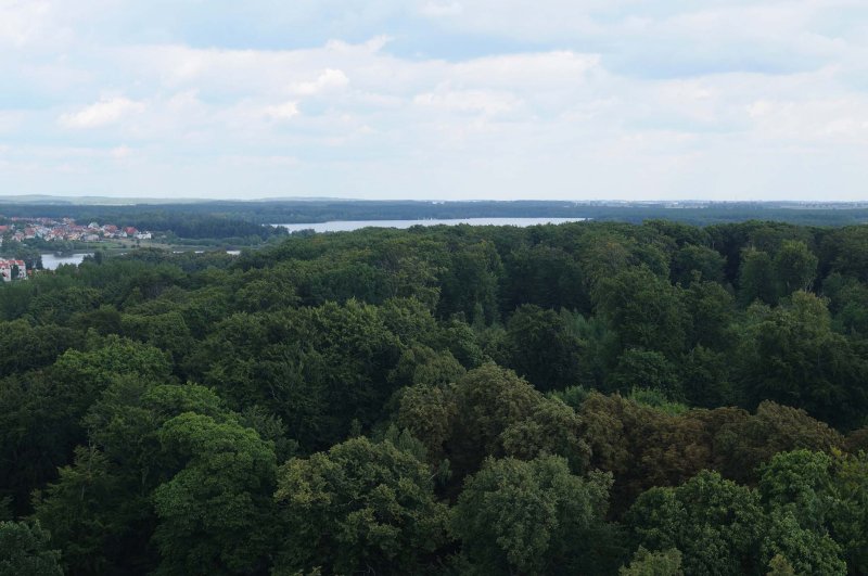 390_20080822_14-42-32.jpg