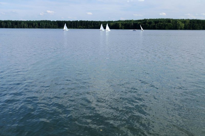 460_20080822_16-50-57.jpg