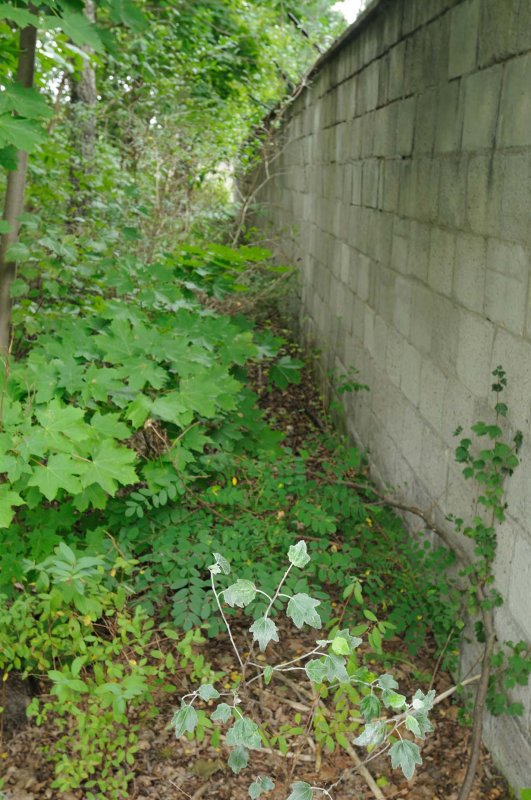 840_20080827_12-22-53.jpg
