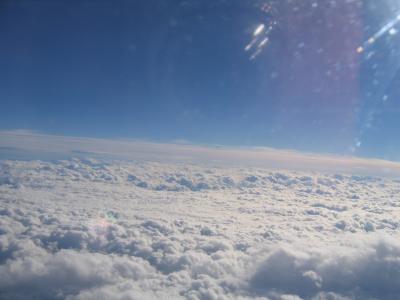 IMG_2890.JPG