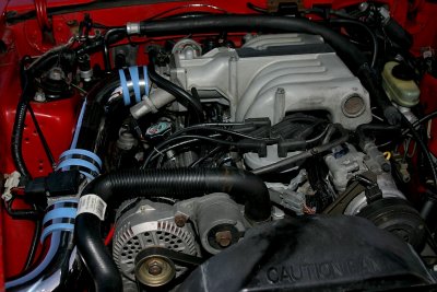 IMG_7506.JPG