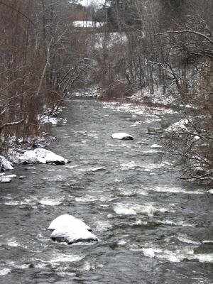 IMG_1959_1.jpg