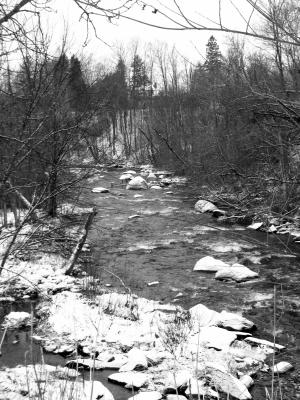 IMG_1977_1.jpg