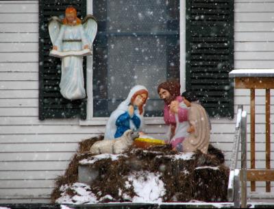 IMG_1986_1.jpg
