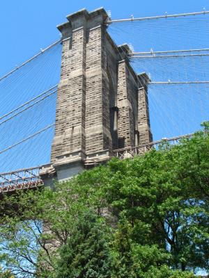 IMG_0545.JPG