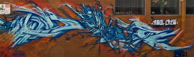 DSC_1950.jpg