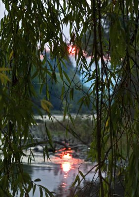 DSC_4963.jpg