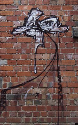 DSC_5237.jpg