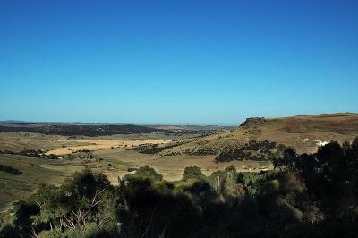 DSC_3870.jpg