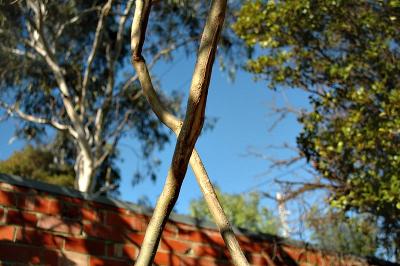 DSC_4712.jpg