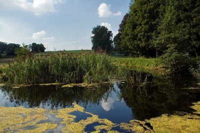 DSC_5102.jpg
